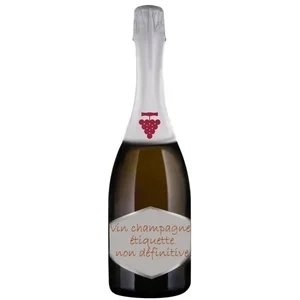 Champagne Moët & Chandon Brut
Caisse Bois SC